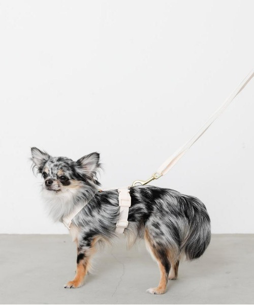 moncheri（モンシェリ）の「コットンライクハーネス（リード/ハーネス/首輪・レディース・モカ/ベージュ/アイボリー・S/M）」の9枚目の写真