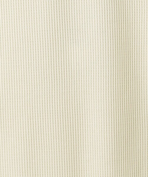 ATTISESSION(アティセッション)の「<ATTISESSION>ワッフル ショートスリーブ ボディースーツ(Tシャツ/カットソー・レディース・ブラック/オフホワイト・FREE)」の19枚目の写真