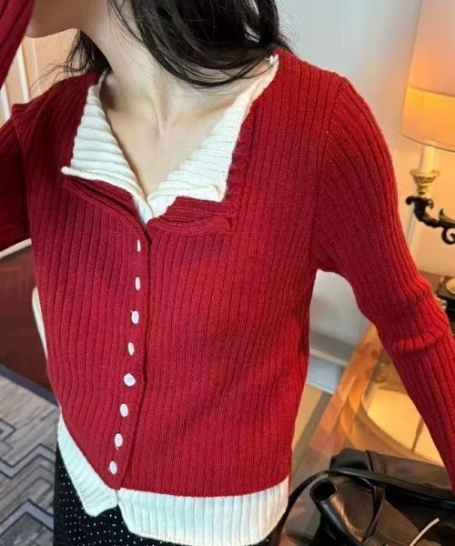 Ada.(エイダ)の「【Mellfy】レイヤード風 バイカラー リブ ニットトップス(ニット/セーター・レディース・グレー/レッド/チャコール/ブラック・FREE)」の16枚目の写真