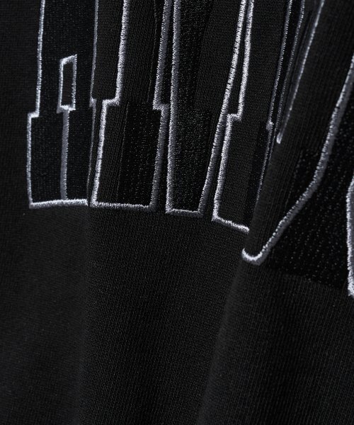Diamond Layla（ダイアモンドレイラ）の「LAMOUR Big Embroidery Stitch Sweatshirt T87  Black（スウェット・レディース・その他・LARGE/MEDIUM/X-LARGE）」の7枚目の写真