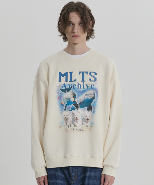 WaiKei(ワイケイ)の「MLTS アーカイブ スウェット アイボリー(スウェット・メンズ・その他・2/1)」の5枚目の写真