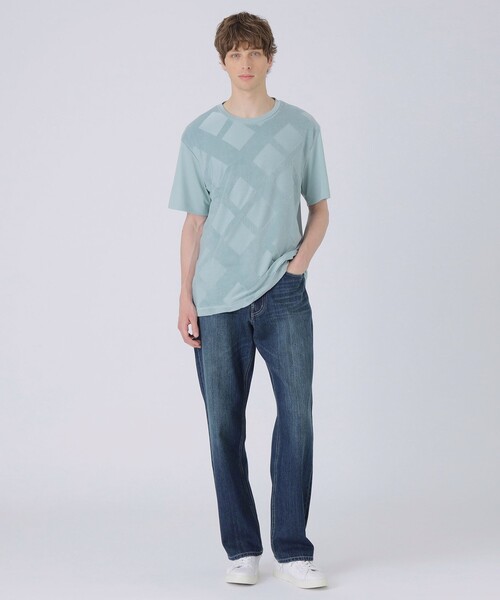 BLACK LABEL CRESTBRIDGE(ブラックレーベル・クレストブリッジ)の「パイルシャドーチェックTシャツ(Tシャツ/カットソー・メンズ・オフホワイト/ブラック/グリーン系その他/ベージュ系その他・XL/L/M)」の9枚目の写真