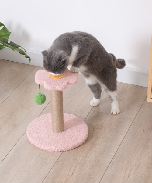 小型キャットタワー 猫おもちゃ
