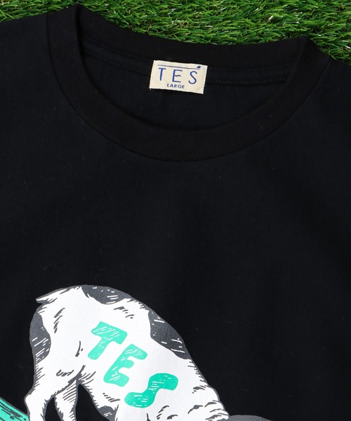 The Endless Summer（エンドレスサマー）の「TES NOSE GRIND BUHI T-SHIRT / Tシャツ（Tシャツ/カットソー・メンズ・ホワイト/ブラック/サックスブルー/サーモンピンク・SMALL/MEDIUM/LARGE/X-LARGE）」の6枚目の写真