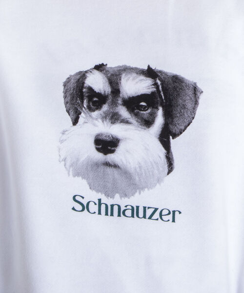 GLOSTER（グロスター）の「《22SS再登場！》【GLOSTER/グロスター】DOG&CAT 犬猫プリント裏毛スウェット（スウェット・メンズ・ホワイト系その他/ホワイト系その他2/グレー系その他/グレー系その他2・MEDIUM/LARGE）」の18枚目の写真