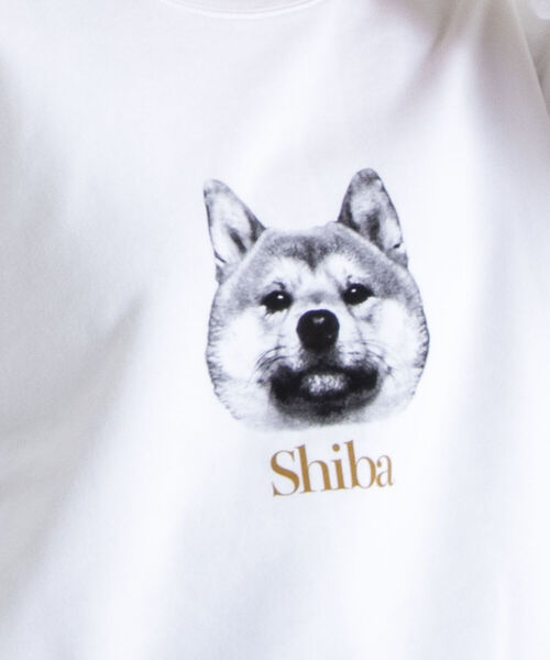 GLOSTER（グロスター）の「《22SS再登場！》【GLOSTER/グロスター】DOG&CAT 犬猫プリント裏毛スウェット（スウェット・メンズ・ホワイト系その他/ホワイト系その他2/グレー系その他/グレー系その他2・MEDIUM/LARGE）」の13枚目の写真