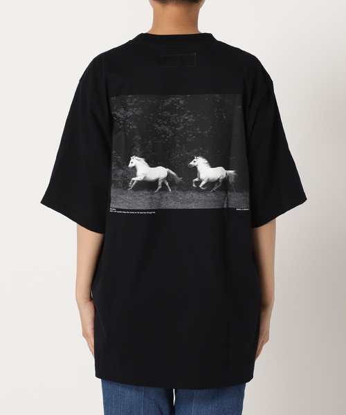11/29まで！【JANE SMITH】 SP HEAVY JERSEYトップス Plage(プラージュ)の「【JANE SMITH/ジェーンスミス】 SP HEAVY JERSEY