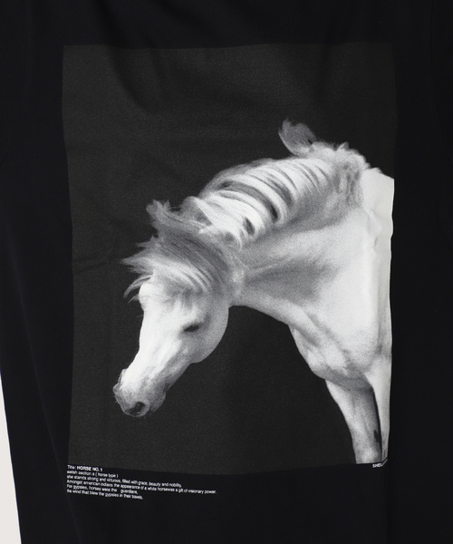 FRAMeWORK(フレームワーク)の「【JANE SMITH/ジェーンスミス】HORSE NO1 SS Tシャツ(Tシャツ/カットソー・レディース・ホワイト/ブラック・FREE)」の12枚目の写真