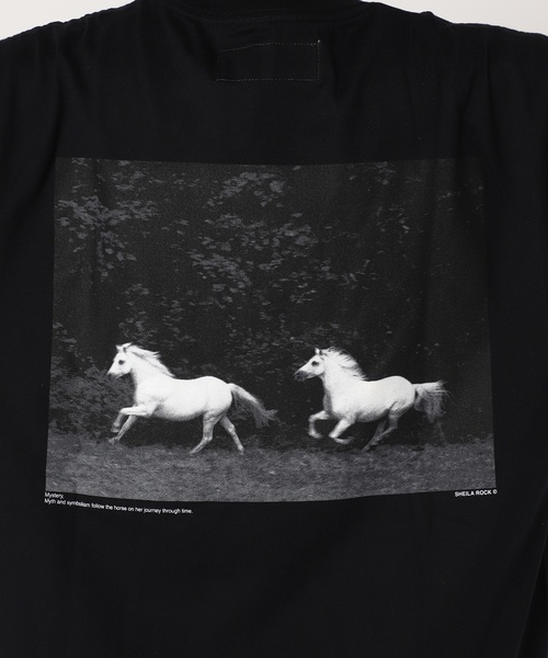 FRAMeWORK(フレームワーク)の「【JANE SMITH/ジェーンスミス】HORSE NO1 SS Tシャツ(Tシャツ/カットソー・レディース・ホワイト/ブラック・FREE)」の11枚目の写真