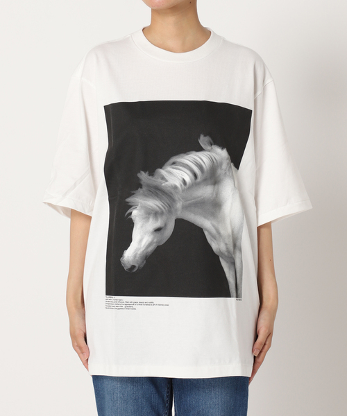 セール】【JANE SMITH/ジェーンスミス】HORSE NO1 SS Tシャツ（Tシャツ