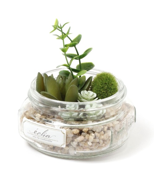 LEPSIM(レプシィム)の「フェイクグリーン(多肉植物)(インテリア雑貨・レディース・グリーン系その他/グリーン系その他2・ONE SIZE)」の2枚目の写真