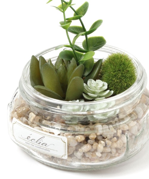 LEPSIM(レプシィム)の「フェイクグリーン(多肉植物)(インテリア雑貨・レディース・グリーン系その他/グリーン系その他2・ONE SIZE)」の8枚目の写真