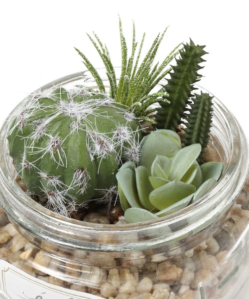 LEPSIM(レプシィム)の「フェイクグリーン(多肉植物)(インテリア雑貨・レディース・グリーン系その他/グリーン系その他2・ONE SIZE)」の5枚目の写真