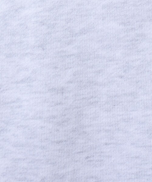 GOOD ROCK SPEED（グッドロックスピード）の「【Good Rock Speed/グッドロックスピード】別注プリントパーカー / NIRVANA / ニルヴァーナ / NEVERMIND（パーカー・メンズ・ライトグレー・M/L/S）」の12枚目の写真