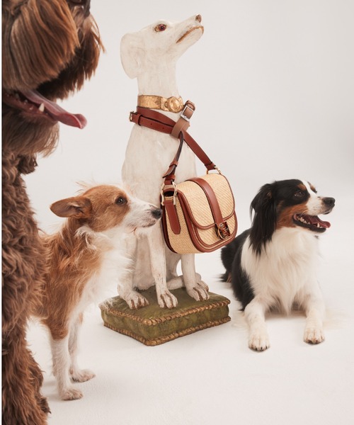 COLE HAAN / ショルダーバッグ/--/GLD/アニマル COLE HAAN（コールハーン）の「エッセンシャル ミニ サドルバッグ