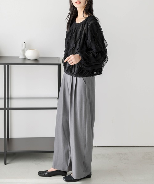 AMELY(エミリー)の「シアーフリルトップス(Tシャツ/カットソー・レディース・ホワイト/ブラック・フリー)」の17枚目の写真