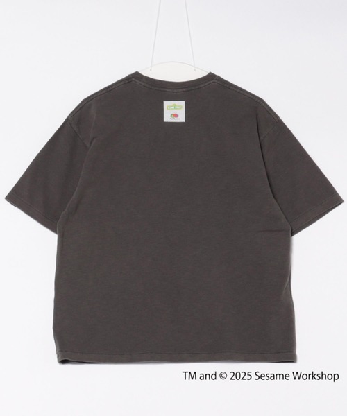 FRUIT OF THE LOOM(フルーツオブザルーム)の「SESAME STREET×FTL Photo T-Shirt D / コラボ / セサミストリート / 半袖 / 前面 / キャラクター / イラスト / プリント / ワンポイント / ロゴ / ユニセックス(Tシャツ/カットソー・メンズ・チャコール/オフホワイト/セージグリーン・S/M/L)」の8枚目の写真