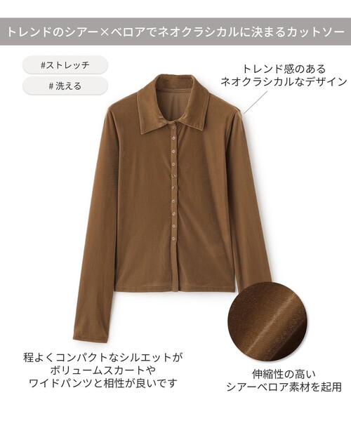 BIANCA（ビアンカ）の「【着映え素材】クラシカル　シアーベロアシャツブラウス（シャツ/ブラウス・レディース・ブラック/ブルー/オフホワイト/ブラウン/ブラウン系その他・38）」の16枚目の写真