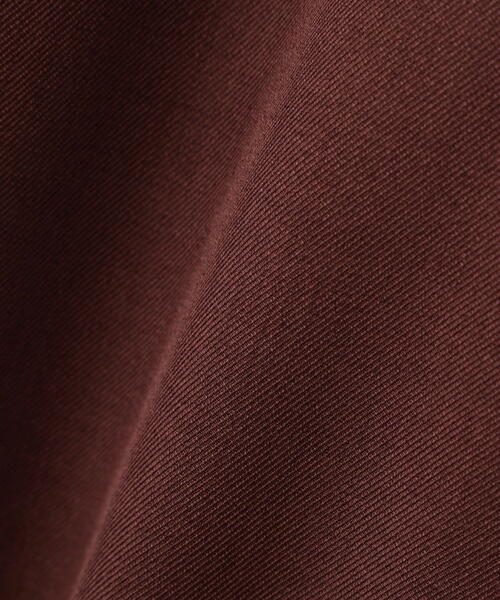 PROPORTION BODY DRESSING（プロポーションボディドレッシング）の「フロントファスナーナロージャンスカ / 1215240007（ワンピース・レディース・ブラック/ブラウン・MEDIUM/P/S/SMALL）」の9枚目の写真