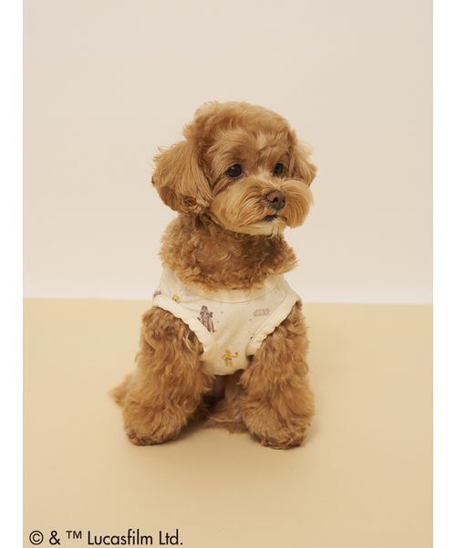 gelato pique(ジェラートピケ)の「【STAR WARS】【CAT&DOG】クーリングポケット付き総柄プルオーバー(ペットウェア・レディース・クリーム/ミント・S/M/L)」の4枚目の写真