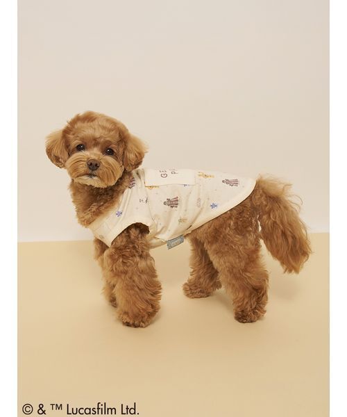gelato pique(ジェラートピケ)の「【STAR WARS】【CAT&DOG】クーリングポケット付き総柄プルオーバー(ペットウェア・レディース・クリーム/ミント・S/M/L)」の5枚目の写真