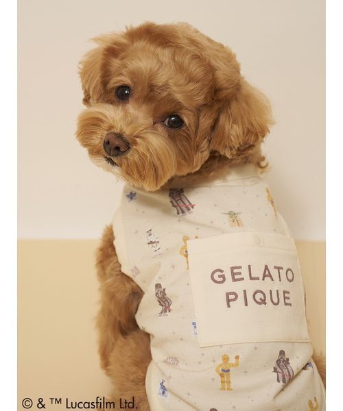 gelato pique(ジェラートピケ)の「【STAR WARS】【CAT&DOG】クーリングポケット付き総柄プルオーバー(ペットウェア・レディース・クリーム/ミント・S/M/L)」の9枚目の写真