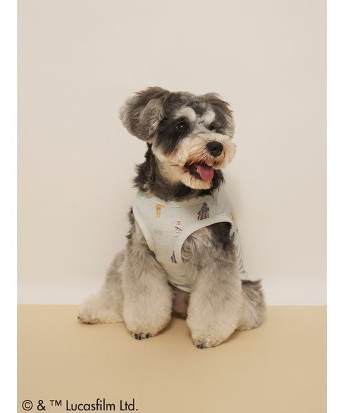 gelato pique(ジェラートピケ)の「【STAR WARS】【CAT&DOG】クーリングポケット付き総柄プルオーバー(ペットウェア・レディース・クリーム/ミント・S/M/L)」の10枚目の写真