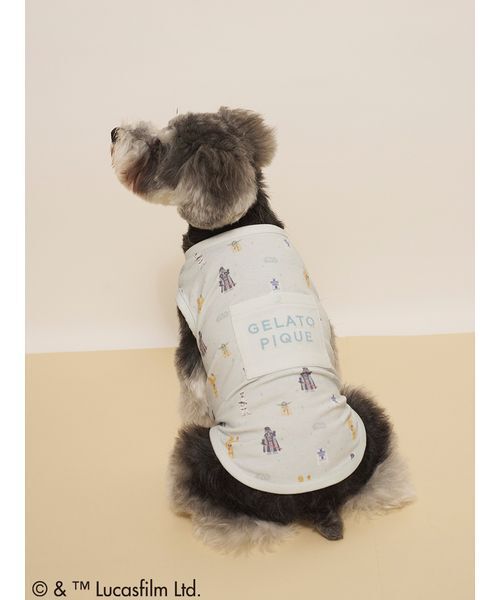 gelato pique(ジェラートピケ)の「【STAR WARS】【CAT&DOG】クーリングポケット付き総柄プルオーバー(ペットウェア・レディース・クリーム/ミント・S/M/L)」の13枚目の写真