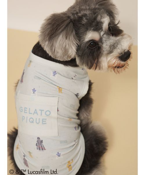 gelato pique(ジェラートピケ)の「【STAR WARS】【CAT&DOG】クーリングポケット付き総柄プルオーバー(ペットウェア・レディース・クリーム/ミント・S/M/L)」の14枚目の写真