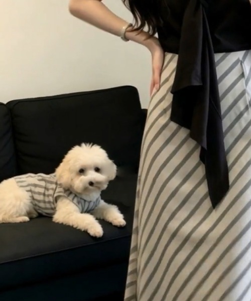 LUCPY（ラクピー）の「ボウタイトップス×ストライプフレアスカートセットアップ（ワンピース・レディース・ブラック・SMALL/X-LARGE/LARGE/MEDIUM）」の6枚目の写真