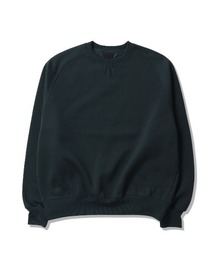 DAIWA PIER39 | DAIWA PIER39 TECH SWEAT CREW FREEDOM SLEEVE ダイワピア39 テックスウェットクルーフリーダムスリーヴ(スウェット)