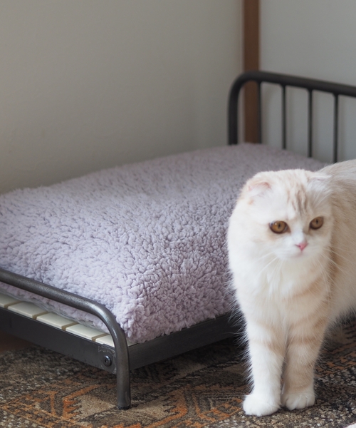 journal standard Furniture (ジャーナルスタンダードファニチャー)の「PET CUSHION(クッションのみ)(ペット用クッション/マット・レディース・ベージュ/グレー・FREE)」の1枚目の写真