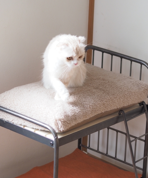 journal standard Furniture (ジャーナルスタンダードファニチャー)の「PET CUSHION(クッションのみ)(ペット用クッション/マット・レディース・ベージュ/グレー・FREE)」の5枚目の写真