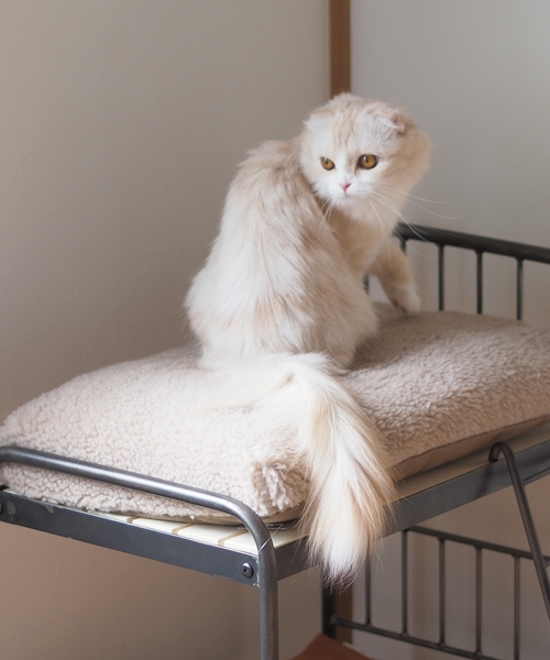 journal standard Furniture (ジャーナルスタンダードファニチャー)の「PET CUSHION(クッションのみ)(ペット用クッション/マット・レディース・ベージュ/グレー・FREE)」の14枚目の写真