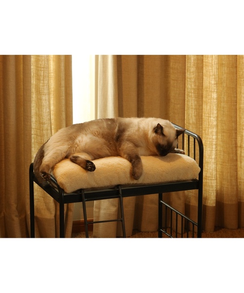 journal standard Furniture (ジャーナルスタンダードファニチャー)の「PET CUSHION(クッションのみ)(ペット用クッション/マット・レディース・ベージュ/グレー・FREE)」の15枚目の写真