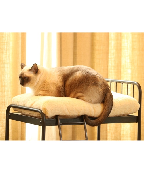 journal standard Furniture (ジャーナルスタンダードファニチャー)の「PET CUSHION(クッションのみ)(ペット用クッション/マット・レディース・ベージュ/グレー・FREE)」の16枚目の写真