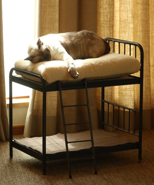 journal standard Furniture (ジャーナルスタンダードファニチャー)の「PET CUSHION(クッションのみ)(ペット用クッション/マット・レディース・ベージュ/グレー・FREE)」の18枚目の写真