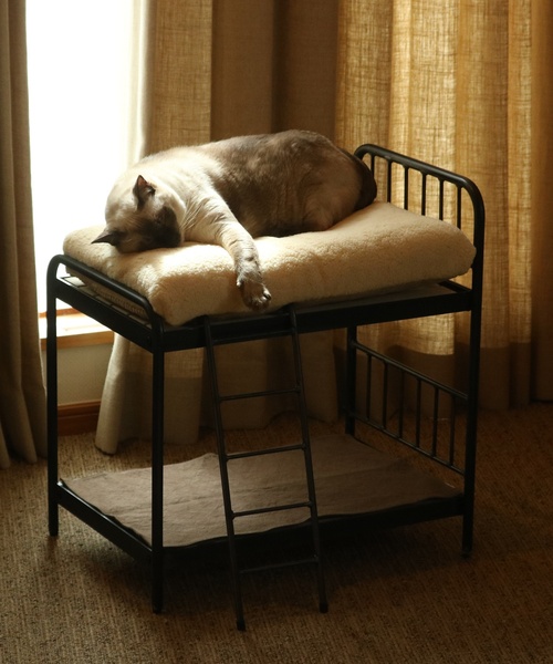 journal standard Furniture (ジャーナルスタンダードファニチャー)の「PET CUSHION(クッションのみ)(ペット用クッション/マット・レディース・ベージュ/グレー・FREE)」の19枚目の写真