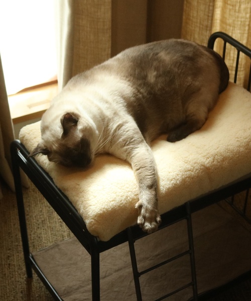 journal standard Furniture (ジャーナルスタンダードファニチャー)の「PET CUSHION(クッションのみ)(ペット用クッション/マット・レディース・ベージュ/グレー・FREE)」の20枚目の写真