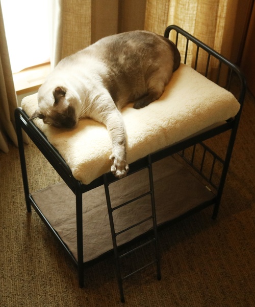 journal standard Furniture (ジャーナルスタンダードファニチャー)の「PET CUSHION(クッションのみ)(ペット用クッション/マット・レディース・ベージュ/グレー・FREE)」の21枚目の写真