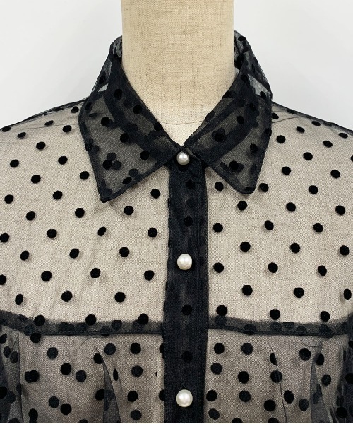 PICCIN(ピッチン)の「フロッキードットチュールフリルシアーブラウス(シャツ/ブラウス・レディース・ブラック・M)」の22枚目の写真