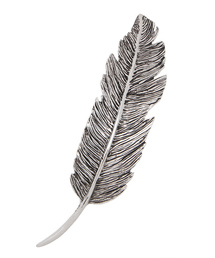 PLUIE | PLUIE / フェザー ヘアバレッタ(バレッタ/ヘアクリップ)