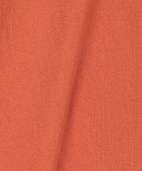 green label relaxing（グリーンレーベルリラクシング）の「【別注】＜TOMICA＞EX Tシャツ / キッズ  100cm-120cm（Tシャツ/カットソー・キッズ・コバルトブルー/オレンジ/ダークグリーン・110cm/100cm/120cm）」の13枚目の写真