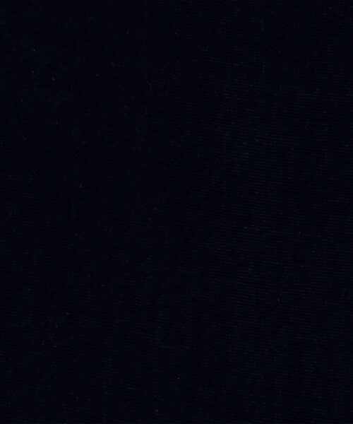 BACCA（バッカ）の「レーヨンシルクベルベットリラックスショーツ（その他パンツ・レディース・ダークブルー/ライトパープル・36/34）」の12枚目の写真