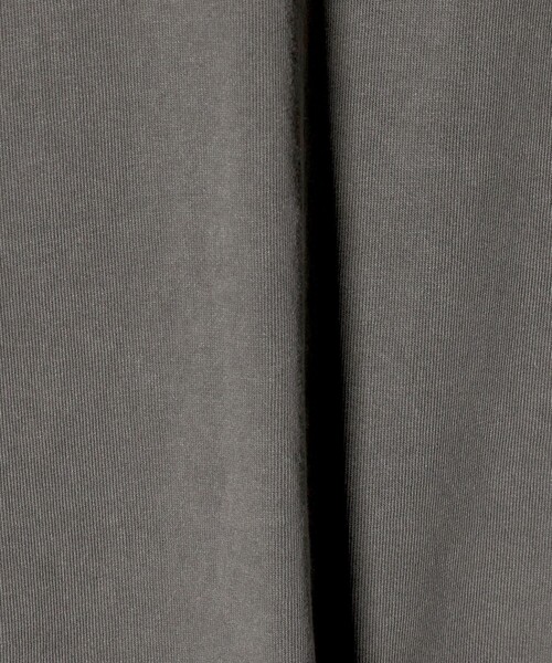 DOGTOWN（ドッグタウン）の「＜DOGTOWN× CGS.＞ LONG SLEEVE Tシャツ（Tシャツ/カットソー・メンズ・グレー系/ホワイト・L/M/XL）」の6枚目の写真