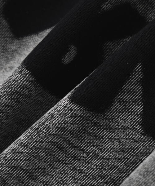 DANKE SCHON（ダンケシェーン）の「DankeSchon/ダンケシェーン/CHEMICAL SWEAT ZIP HOODIE（パーカー・レディース・ブラック・M/L）」の16枚目の写真