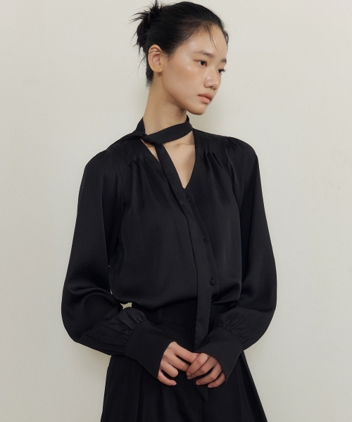 LUCIR ZU(ルシールズ)の「Soft Drape Tie-Neck V-Blouse (black)(シャツ/ブラウス・レディース・その他・FREE)」の1枚目の写真