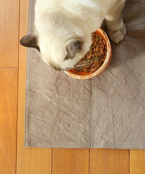 journal standard Furniture （ジャーナルスタンダードファニチャー）の「PET PLACE MAT(マットのみ)（ペット用クッション/マット・レディース・ブラウン/イエロー系その他・FREE）」の8枚目の写真