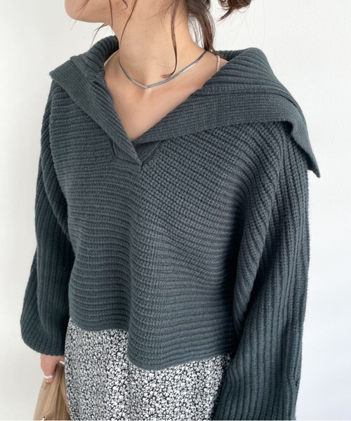 archives(アルシーヴ)の「衿付き畦ニットプルオーバー(ニット/セーター・レディース・ブラウン/アイボリー/ブルー/グリーン系その他・MEDIUM)」の2枚目の写真