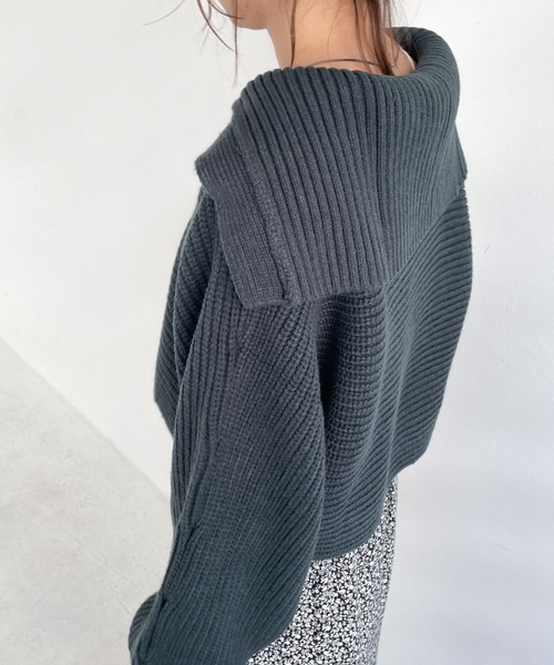 archives(アルシーヴ)の「衿付き畦ニットプルオーバー(ニット/セーター・レディース・ブラウン/アイボリー/ブルー/グリーン系その他・MEDIUM)」の19枚目の写真